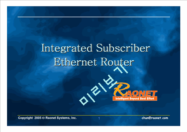 Integrated Subscriber Ethernet Router   (1 )